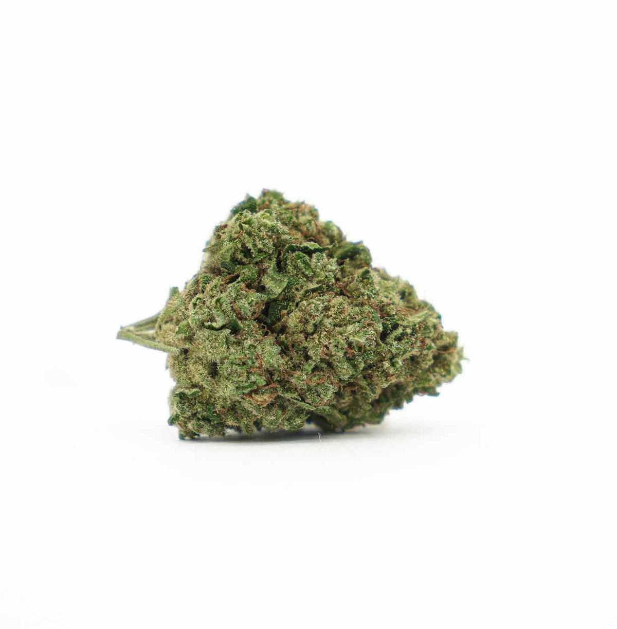 AMNESIA GREENHOUSE
