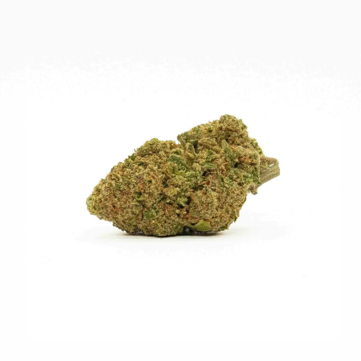 JACK HERER