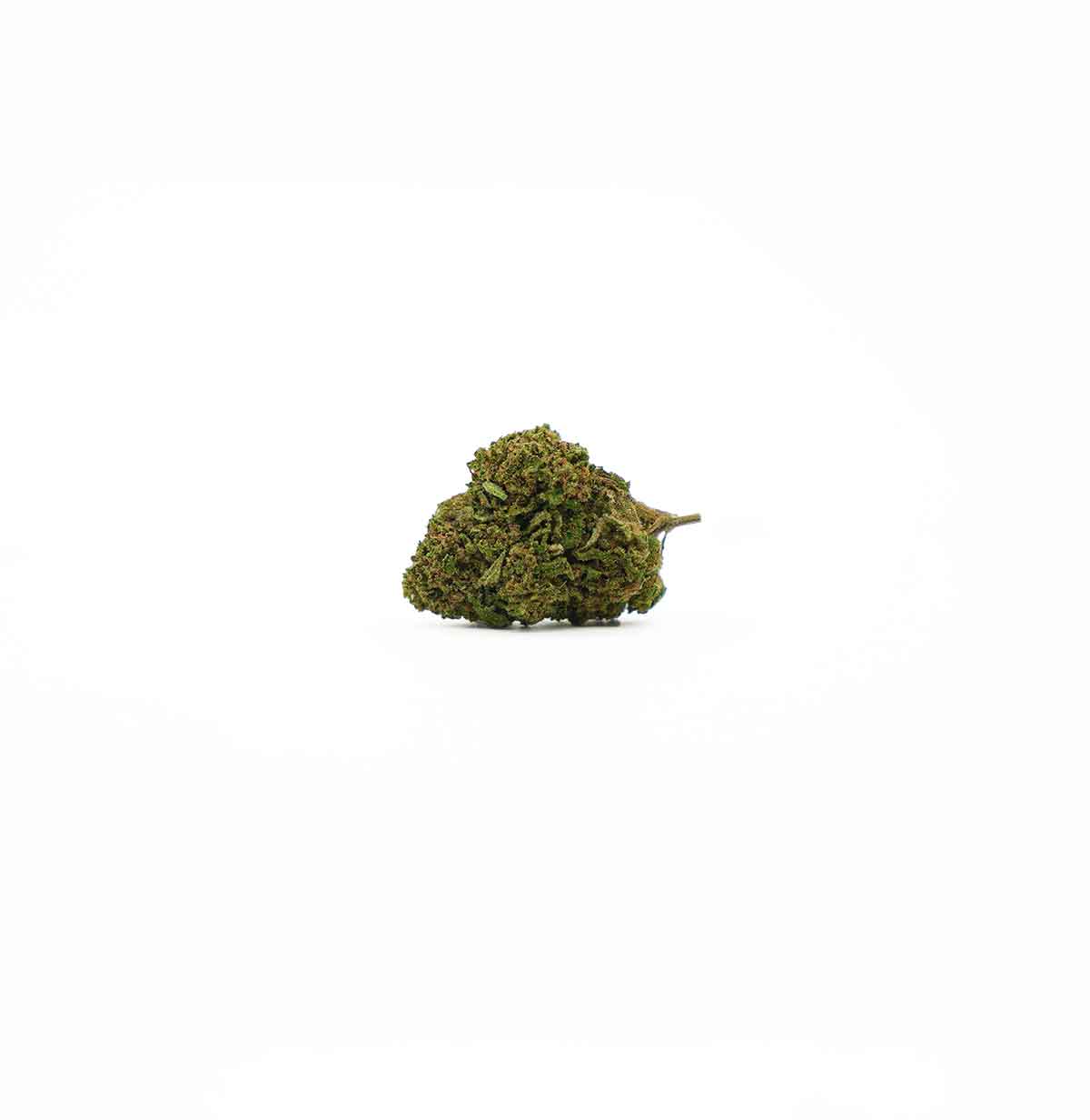 WHITE WIDOW