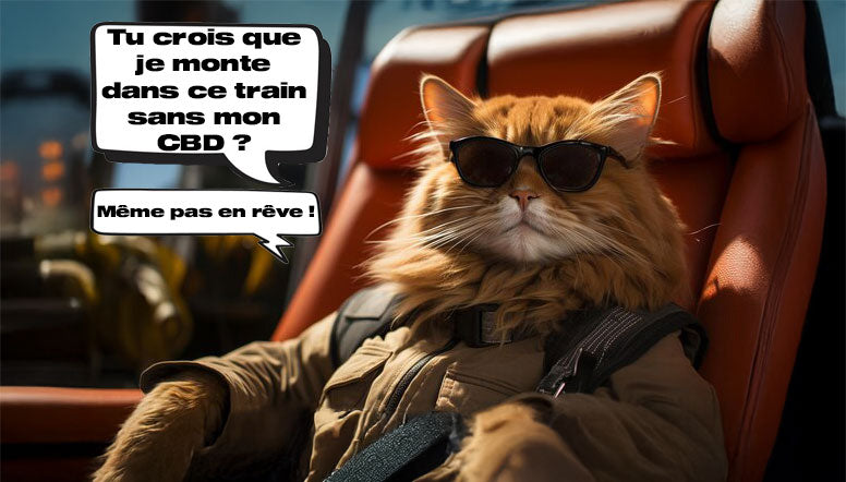 Voyager avec son chien ou son chat : comment l’huile de CBD peut apaiser votre animal en déplacement