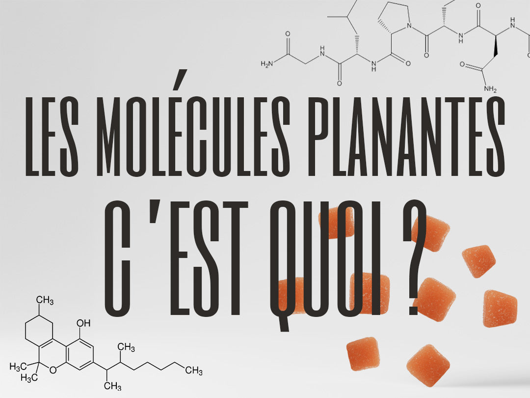 Les néocannabinoïdes : une évolution ou un danger pour les amateurs de cannabis ?