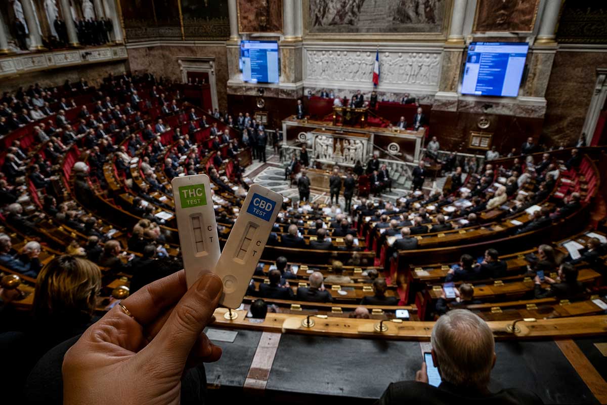 Tests antidrogue à l'Assemblée nationale : le THC et le CBD au cœur d'un débat qui dépasse les députés