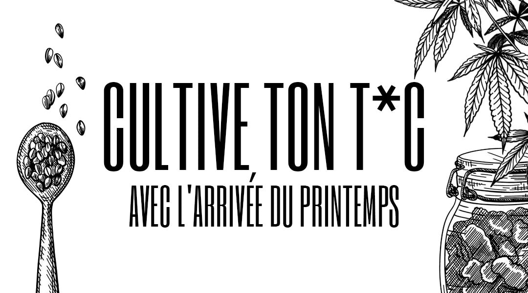 Le printemps est de retour, il est temps de planter !!
