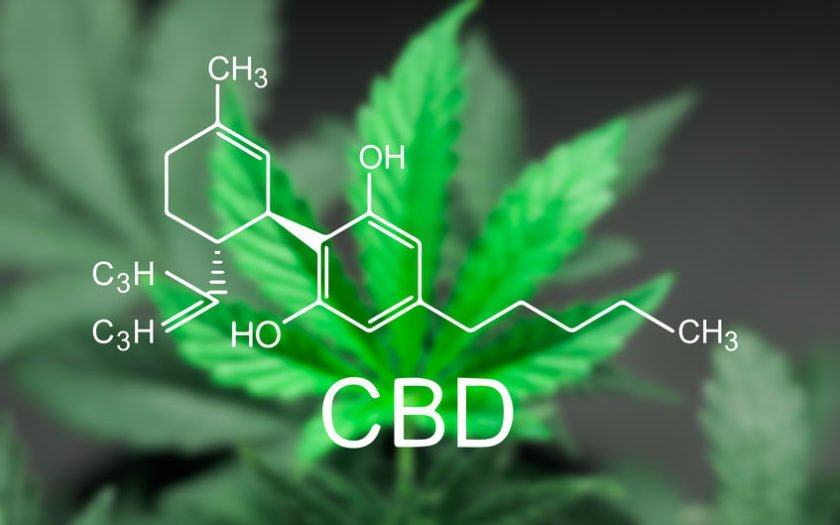 Le CBD comme substitut au cannabis THC - CBD Bicyclette