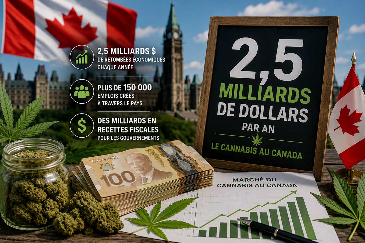 Cannabis au Canada : 2,5 milliards de dollars de recettes publiques grâce au marché légal