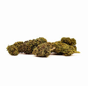 CRITICAL