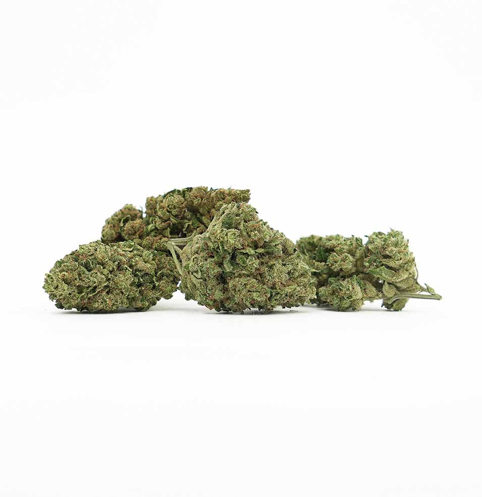 AMNESIA GREENHOUSE