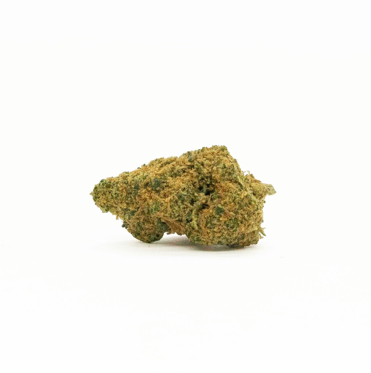 ORANGE BUD