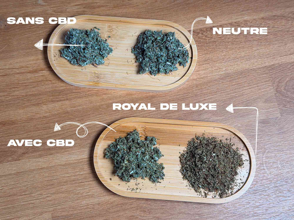 SUBSTITUTS DE TABAC