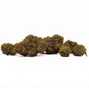 GORILLA GLUE THC-X