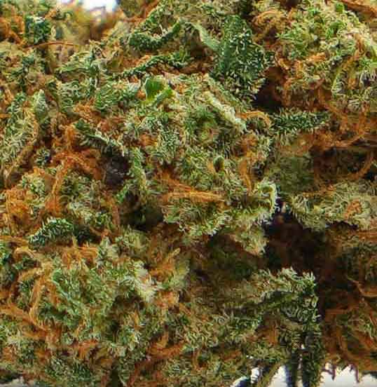 FLEURS CBD