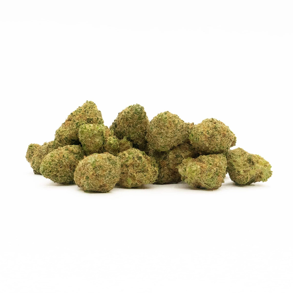 MINI BUDS INDOOR