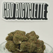 JACK HERER
