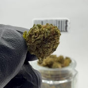 POPCORN THC-X
