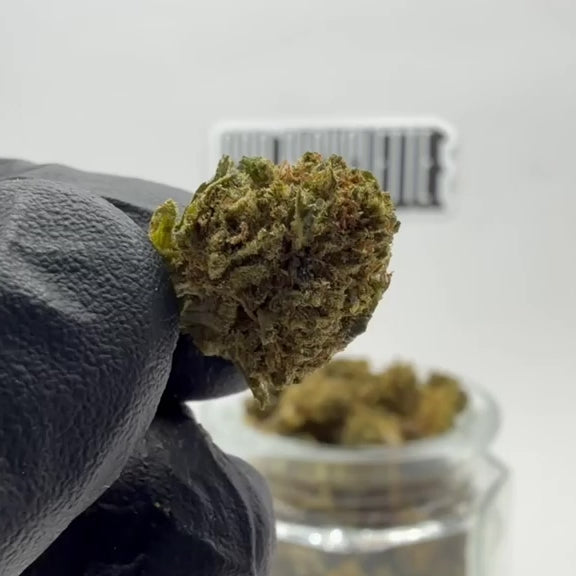 POPCORN THC-X