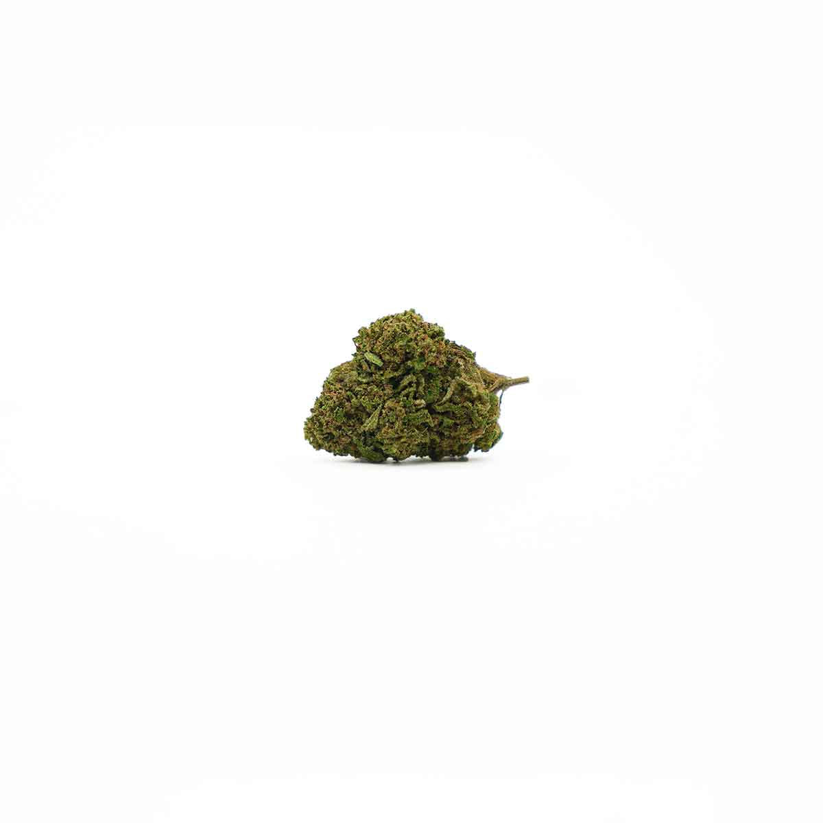 white-widow_0c119934-60aa-4760-bc29-b52672941efc.jpg
